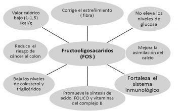 fructooligosacaridos propiedades