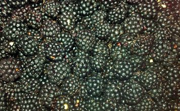 moras-fuete-de-vitaminas-y-antioxidantes